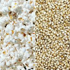 50 lbs Bulk White Hull-less Popcorn Kernels (Product of Canada)
