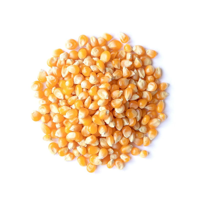 50 lbs Bulk Premium Organic Yellow Popcorn Kernels (Product of Canada)