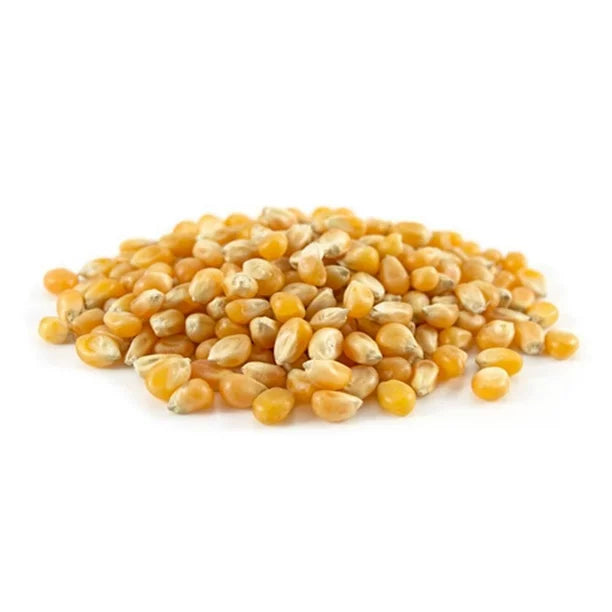 50 lbs Bulk Yellow Popcorn Kernels (Product of Canada)