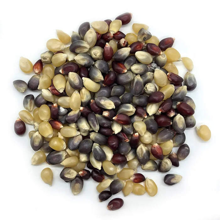 Bulk Ancient Grain Organic Premium Popcorn Kernels (4lbs, 5lbs, 6lbs, 7lbs, 8lbs, 9lbs, 10lbs, 11lbs, 12lbs) (Product of Canada)