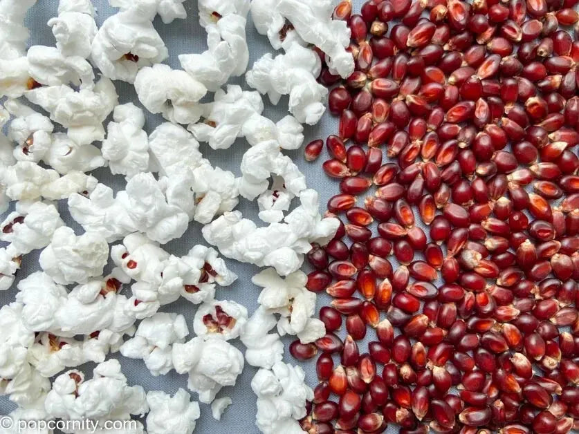 Bulk Ruby Red Popcorn Kernels (4lbs, 5lbs, 6lbs, 7lbs, 8lbs, 9lbs, 10lbs, 11lbs, 12lbs) (Product of Canada)